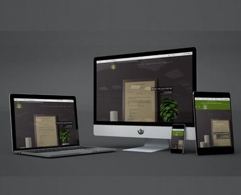 طراحی وبسایت اخذ پاسپورت ایران دومینیکا