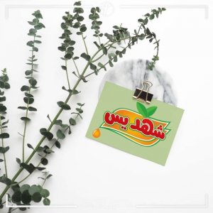 طراحی لوگو شهدیس