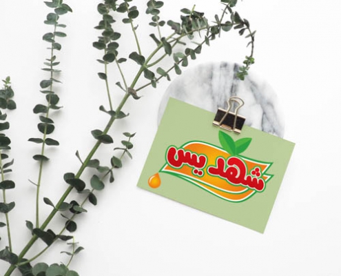 طراحی لوگو شهدیس