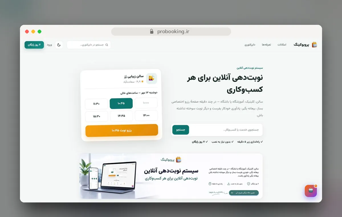 طراحی سایت پروبوکینگ